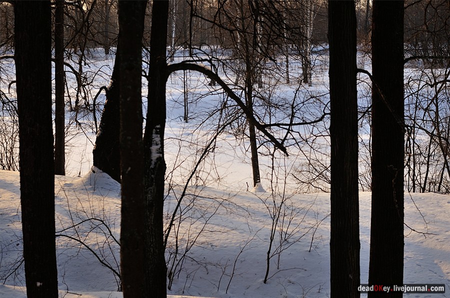 усадьба Андреевское