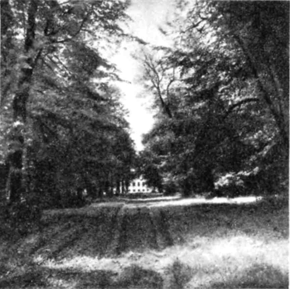 усадьба Грабцево