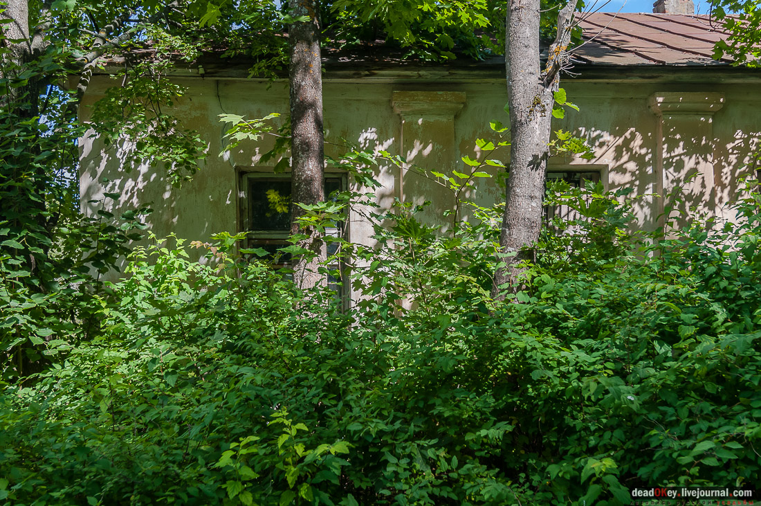 усадьба Васильевское Повалишиных