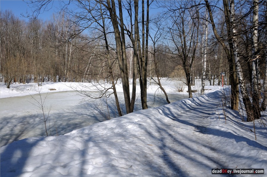 усадьба Узкое