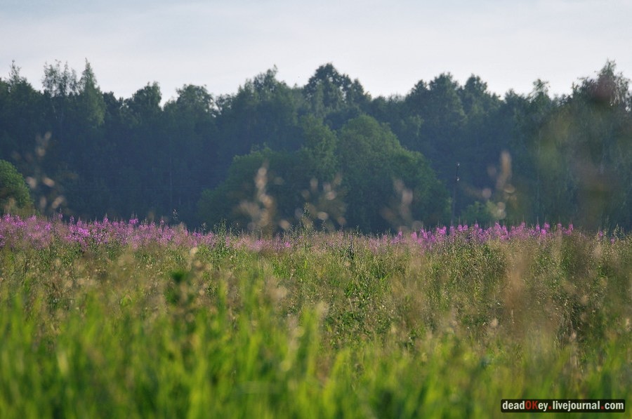 усадьба Клины