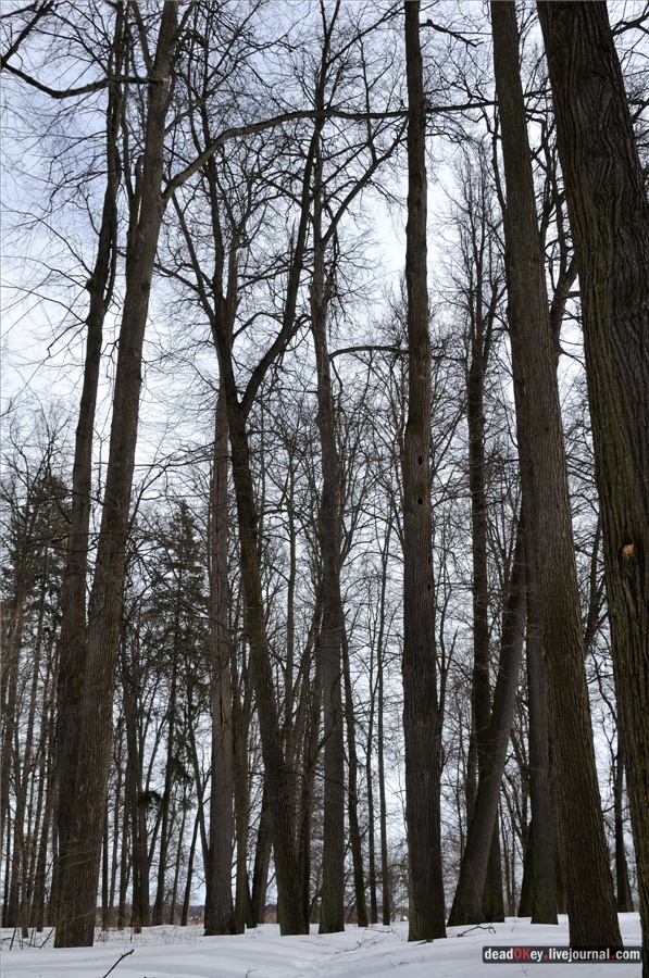 усадьба Райки