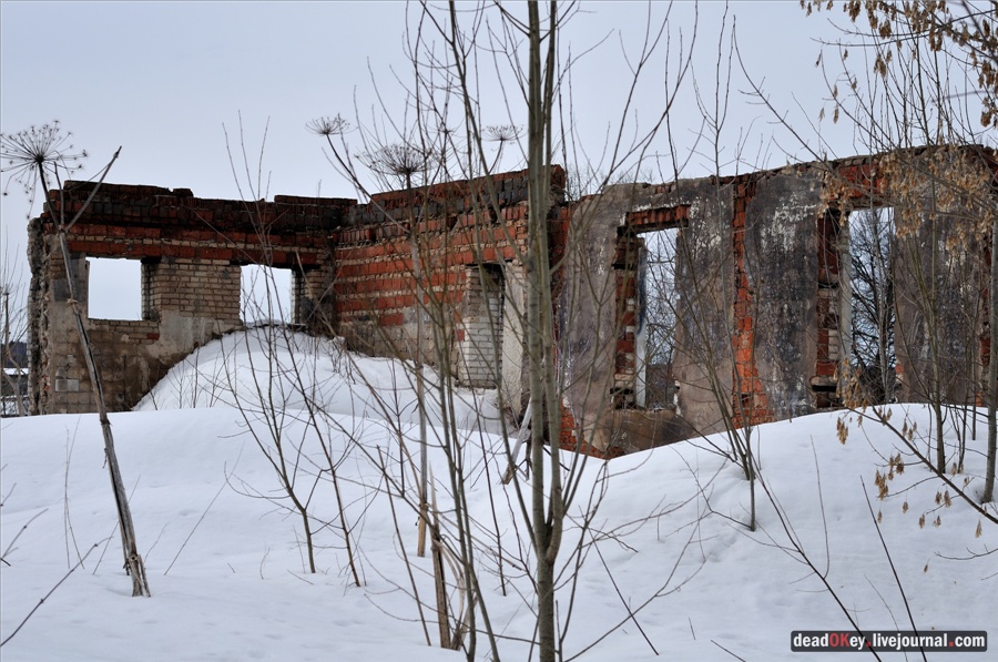 усадьба Ельдигино