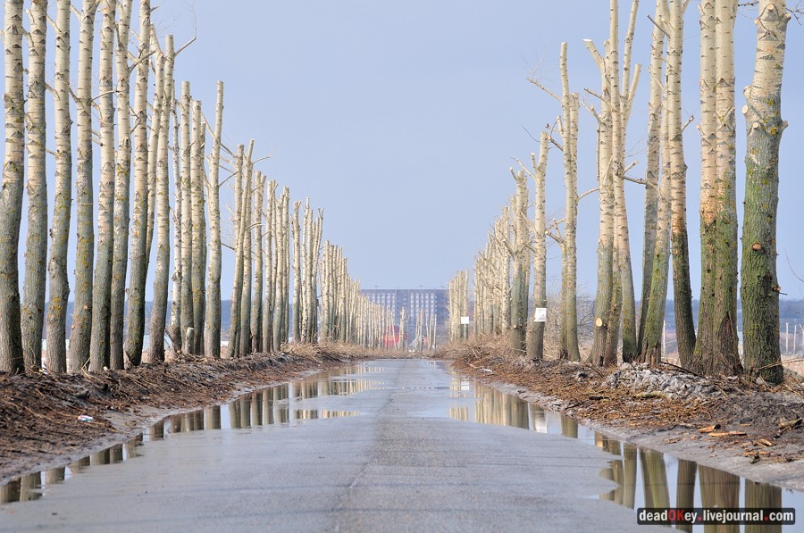 усадьба Богородской (пос. Володарского)
