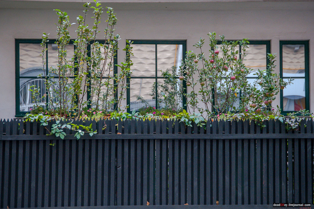 кооперативный поселок Сокол, поселок художников, Москва