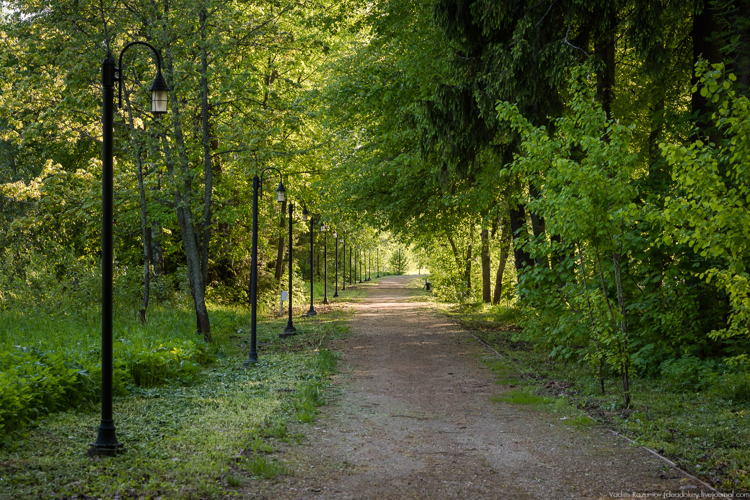 усадьба Воронино