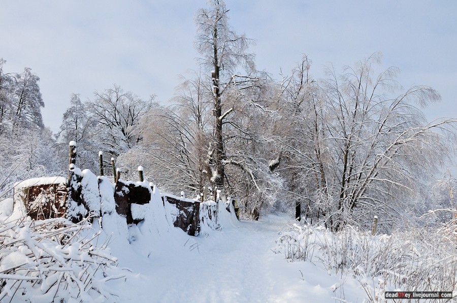 усадьба Красково