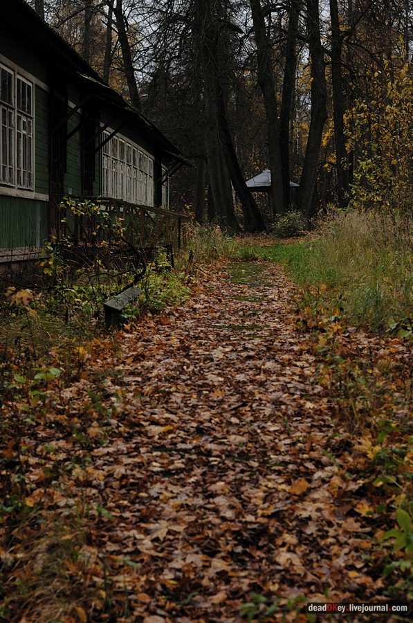 усадьба Жуково