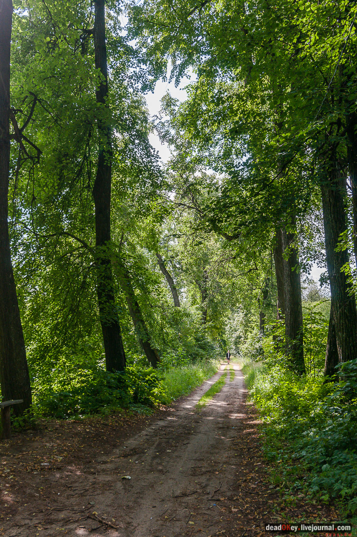 усадьба Баташовых, Гусь-Железный