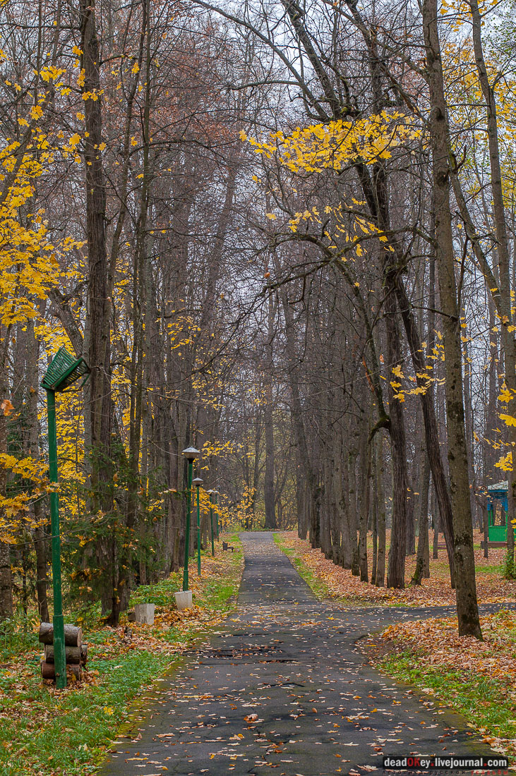 Вороново