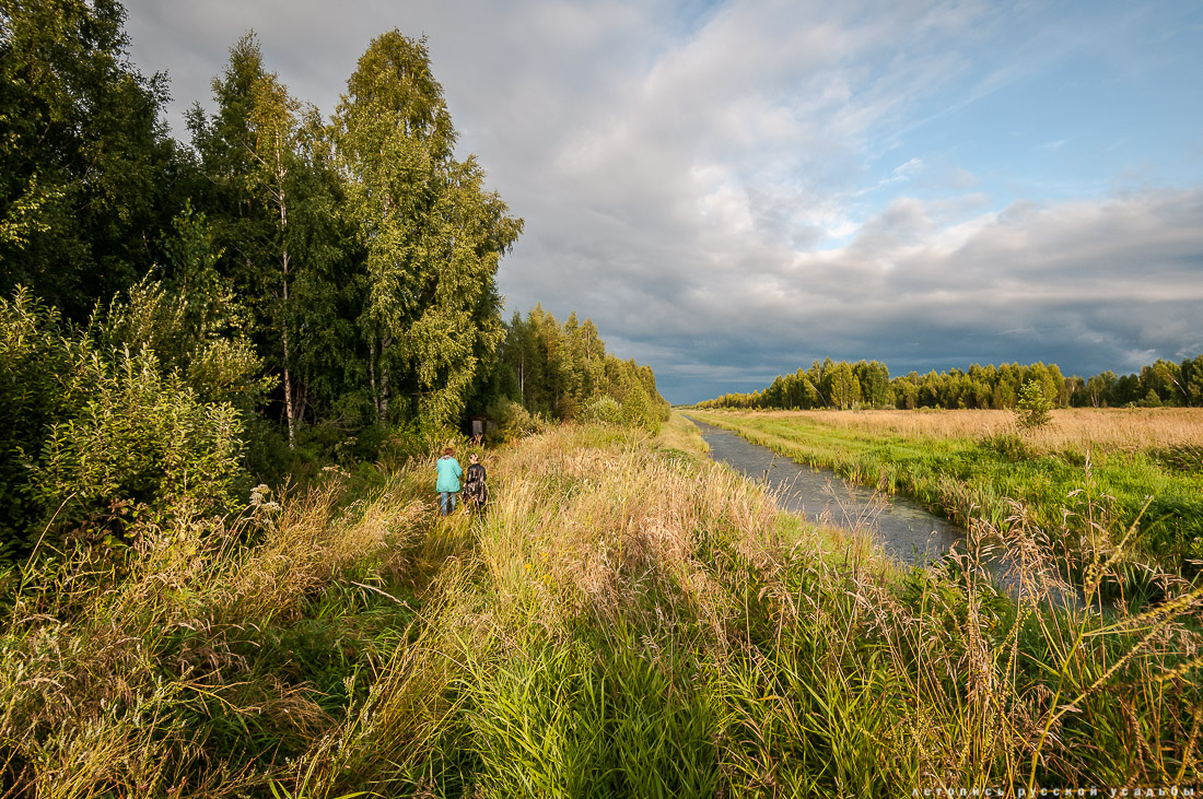 Экоэлектричка на родину журавлей в Талдомский район
