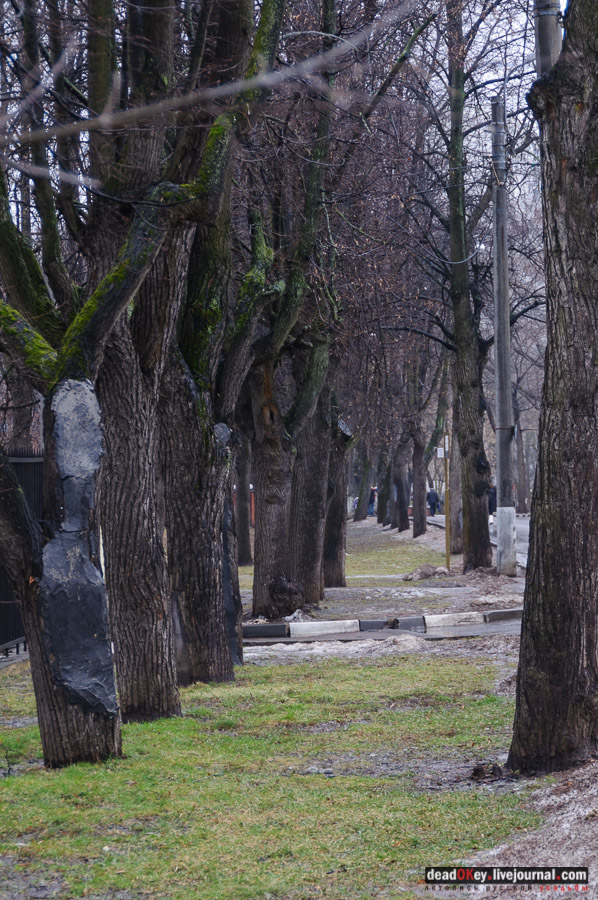 усадьба Люблино