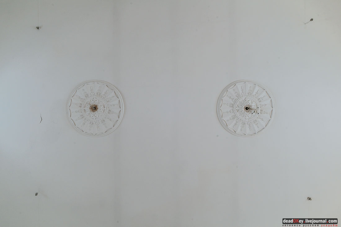 усадьба Тургеневых-Боткиных