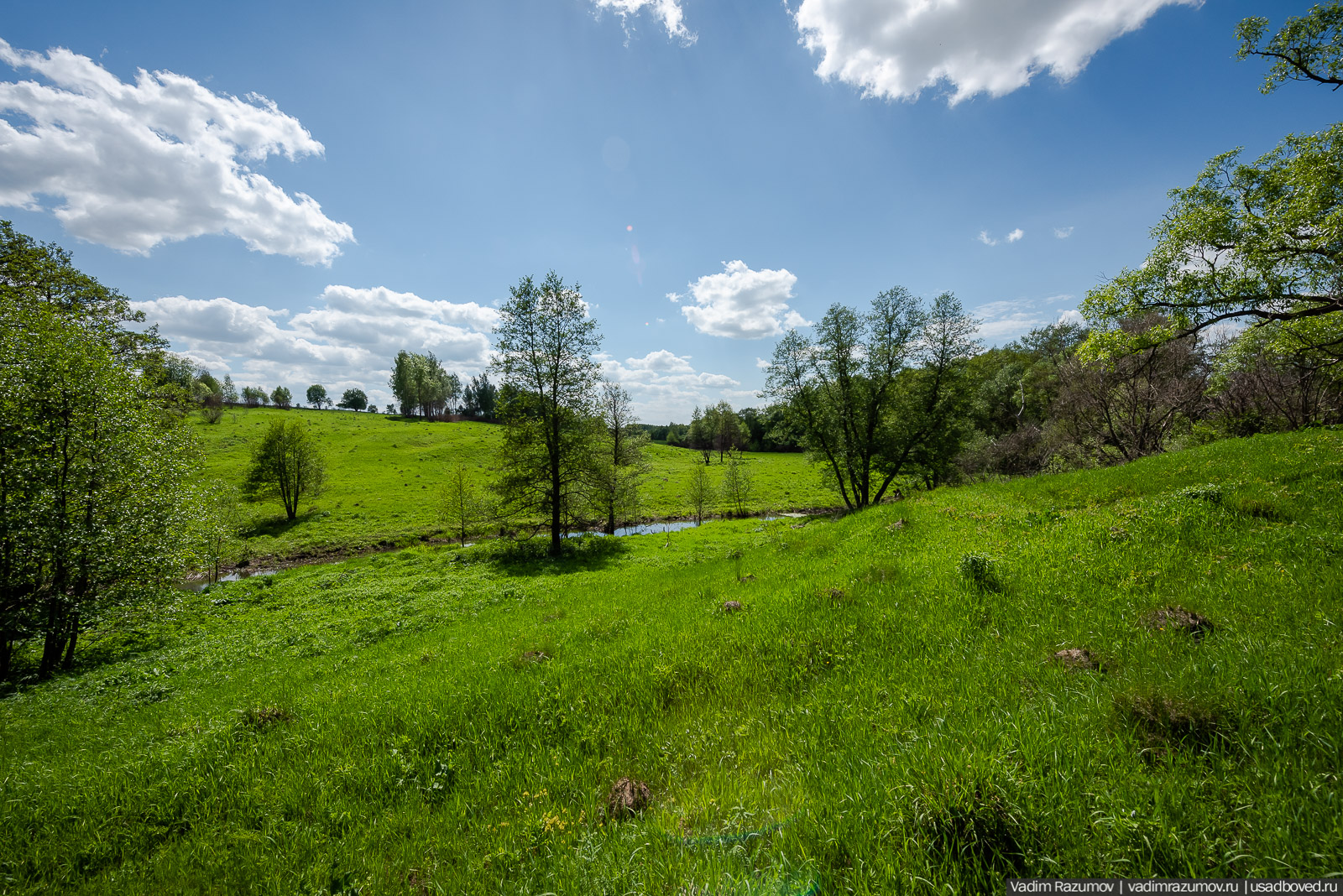 Старое Глазово, могила Василия Баженова, 2021 год