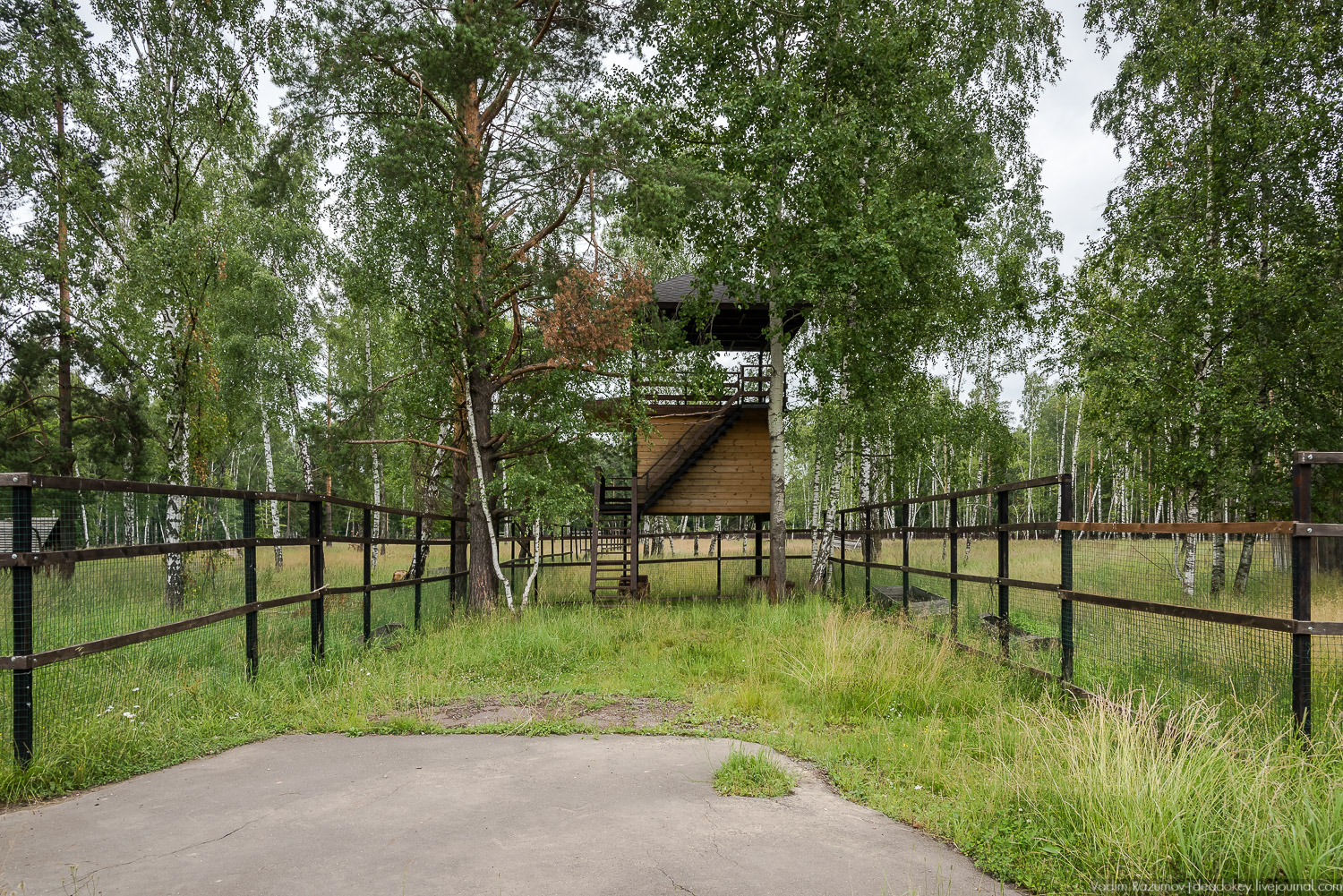 Лосиный остров