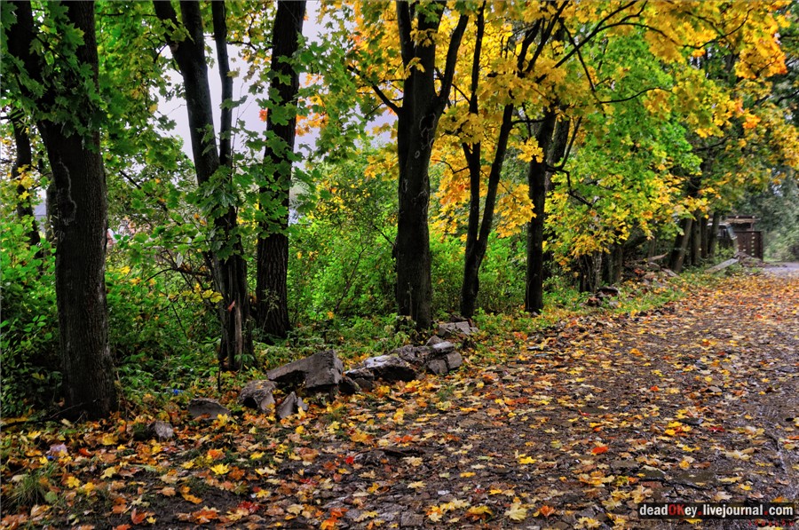 усадьба Ляхово