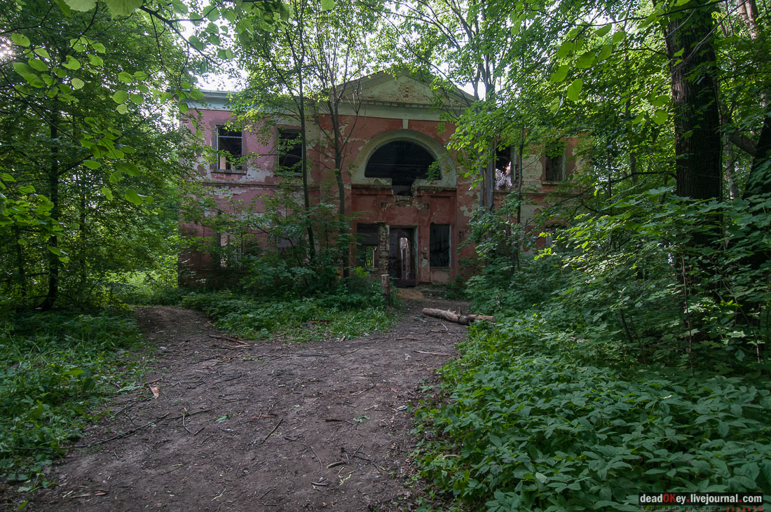 Усадьба Богородское-Кишкино