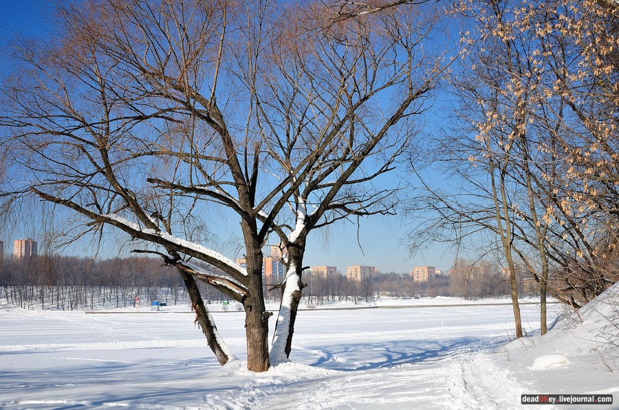 усадьба Петровское-Лобаново