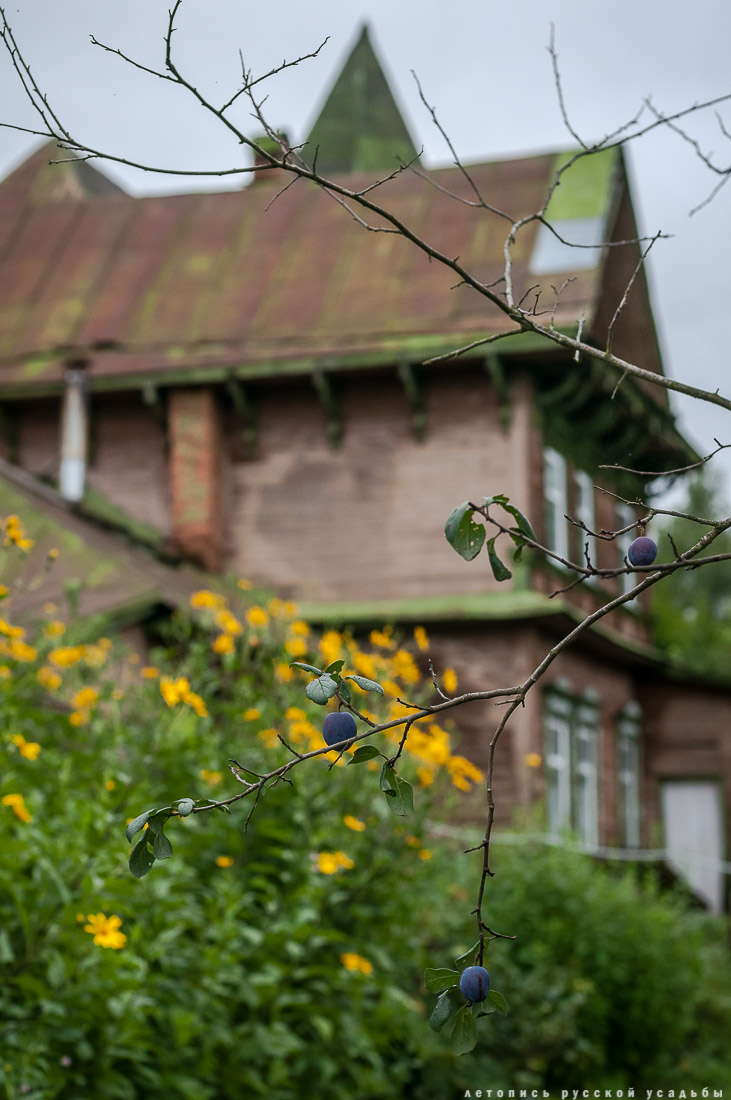 Меховицы, дом фабриканта Карпова, Чистые Росы, продается усадьба