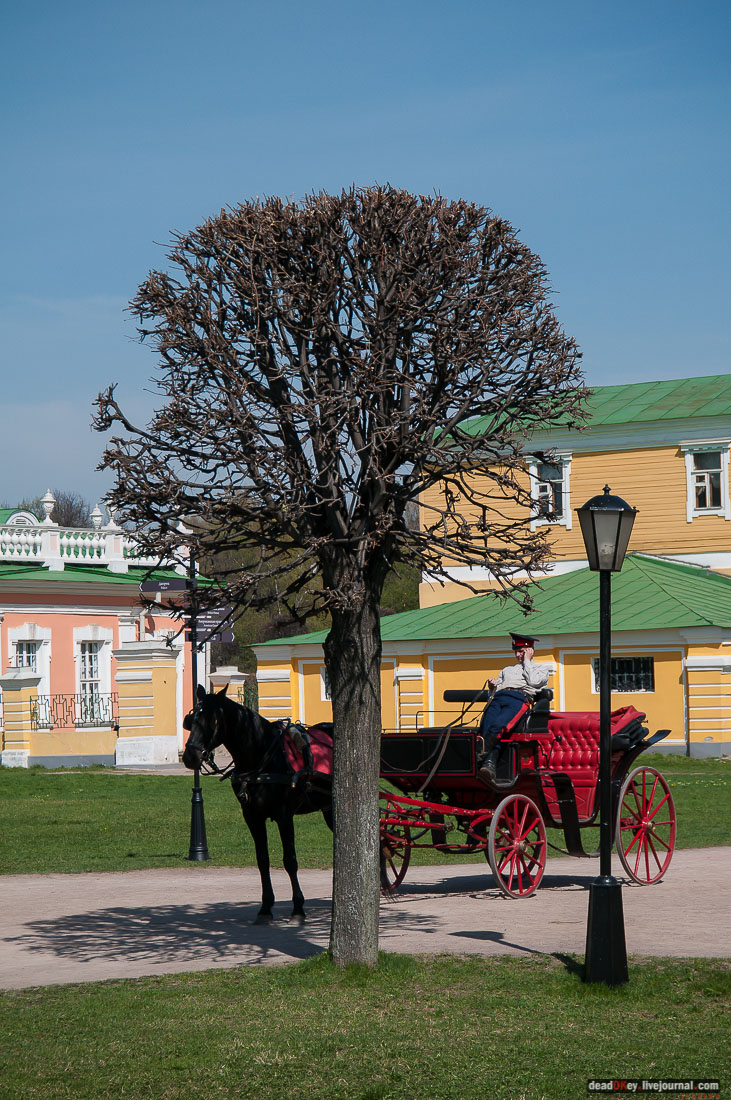 усадьба Кусково