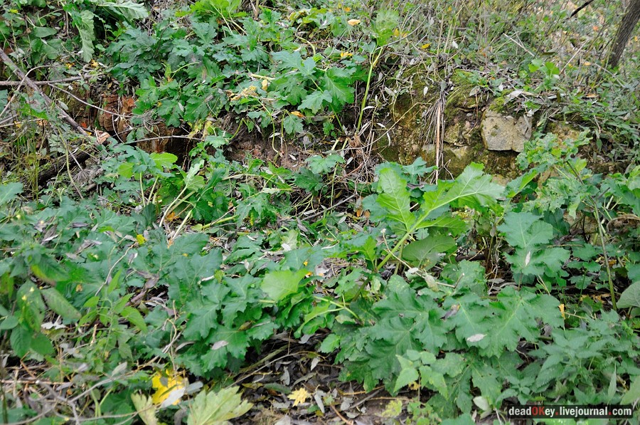 усадьба Авчурино