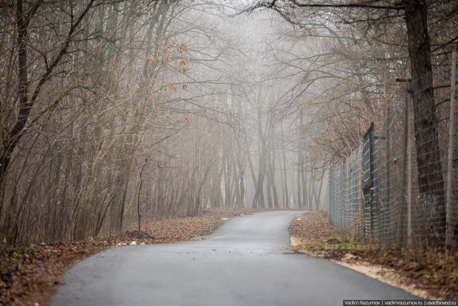 усадьба Борки, Липецкая область
