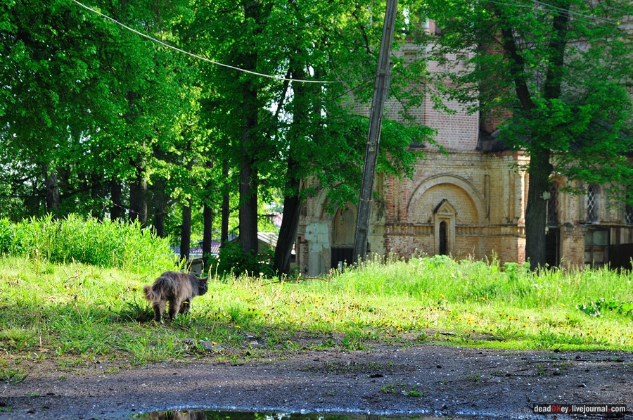 усадьба Мещерское