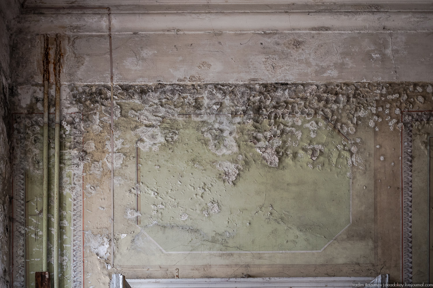 Интерьеры усадьбы Петрово-Дальнее, Дурнево