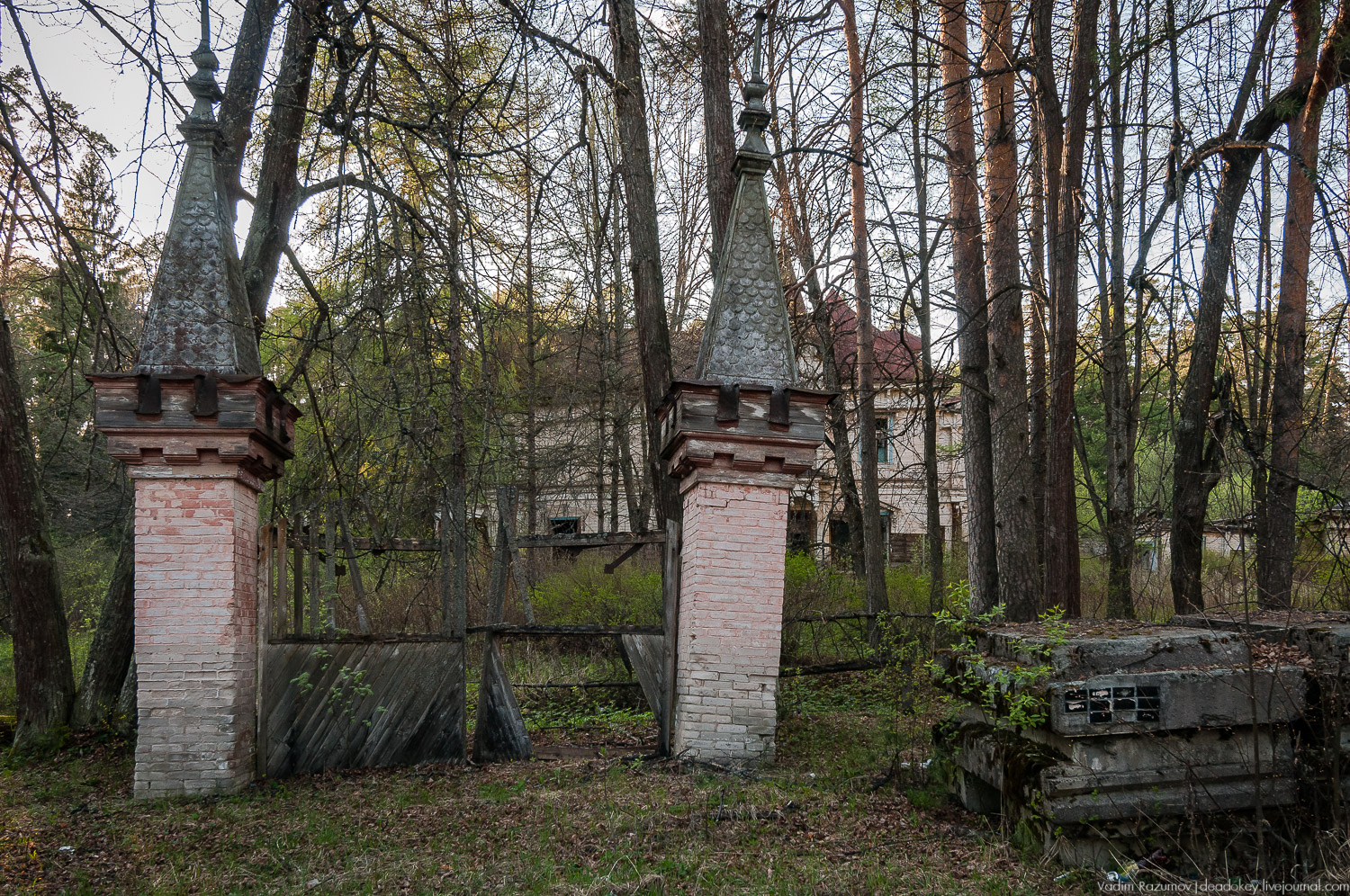 Усадьба Разоренова, Ивановская область