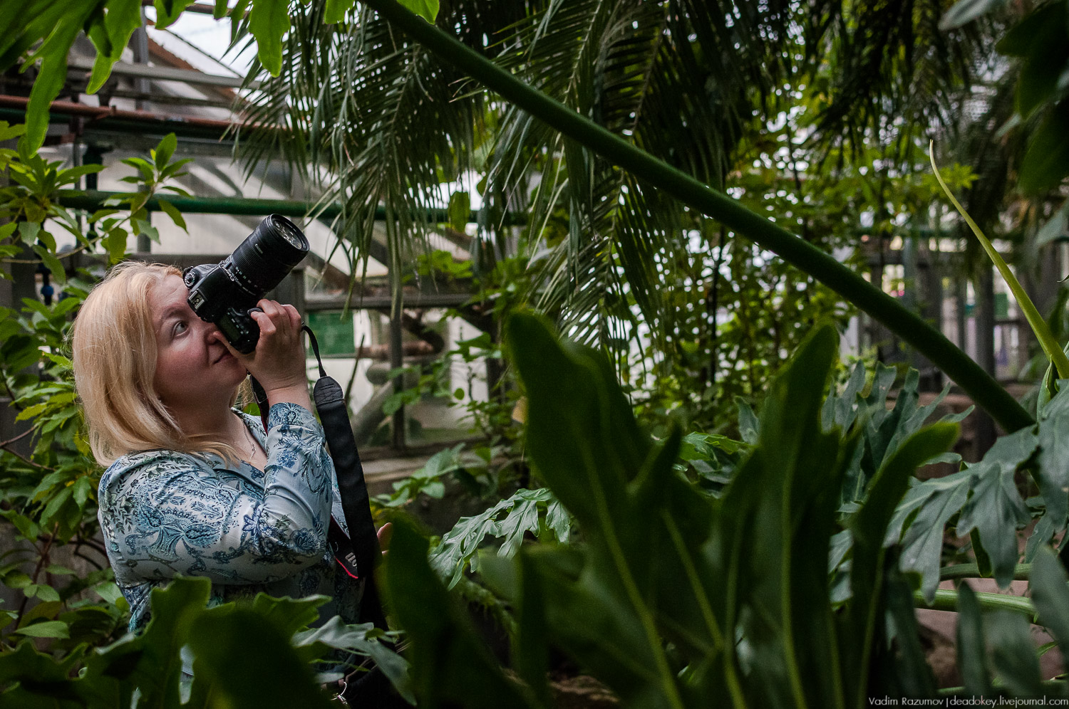 Ботанический сад, фондовая оранжерея, Экоэлектричка, борщевик