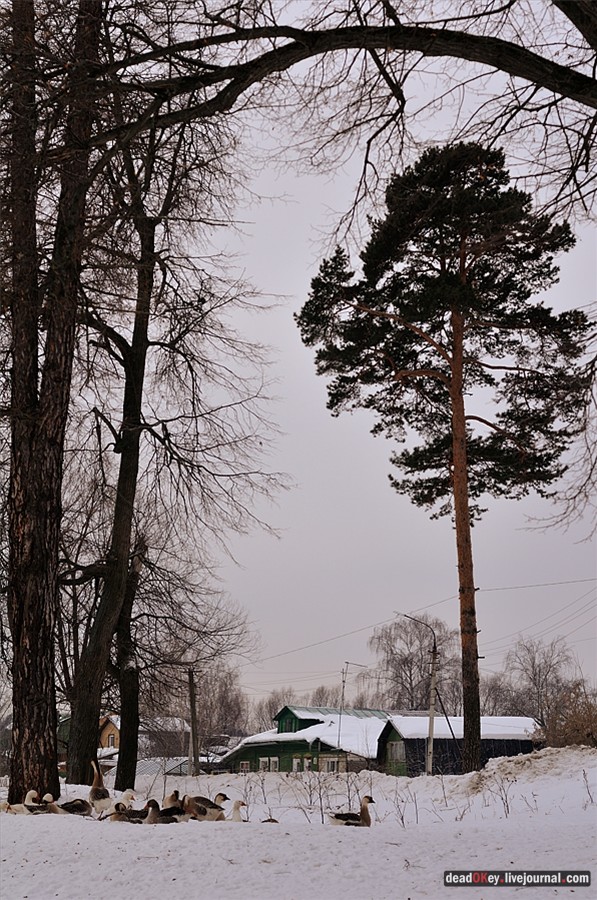 усадьба Успенское