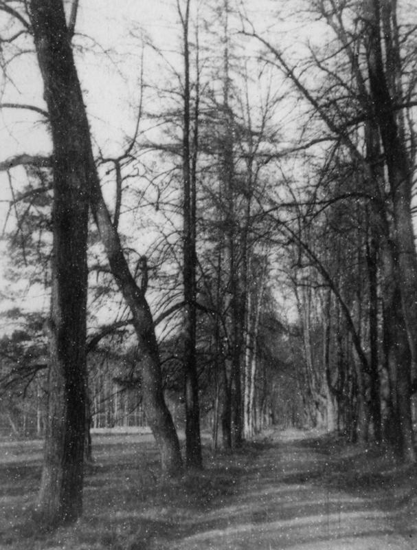 Усадьба Суханово. Архивные фотографии