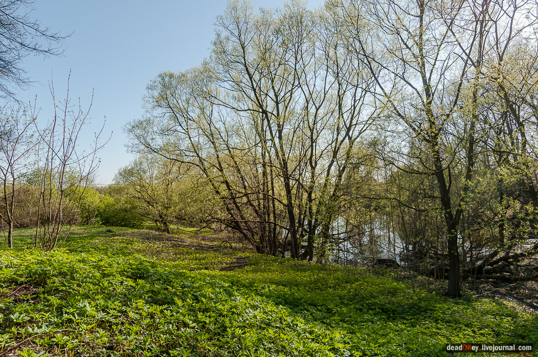 усадьба Зендиково
