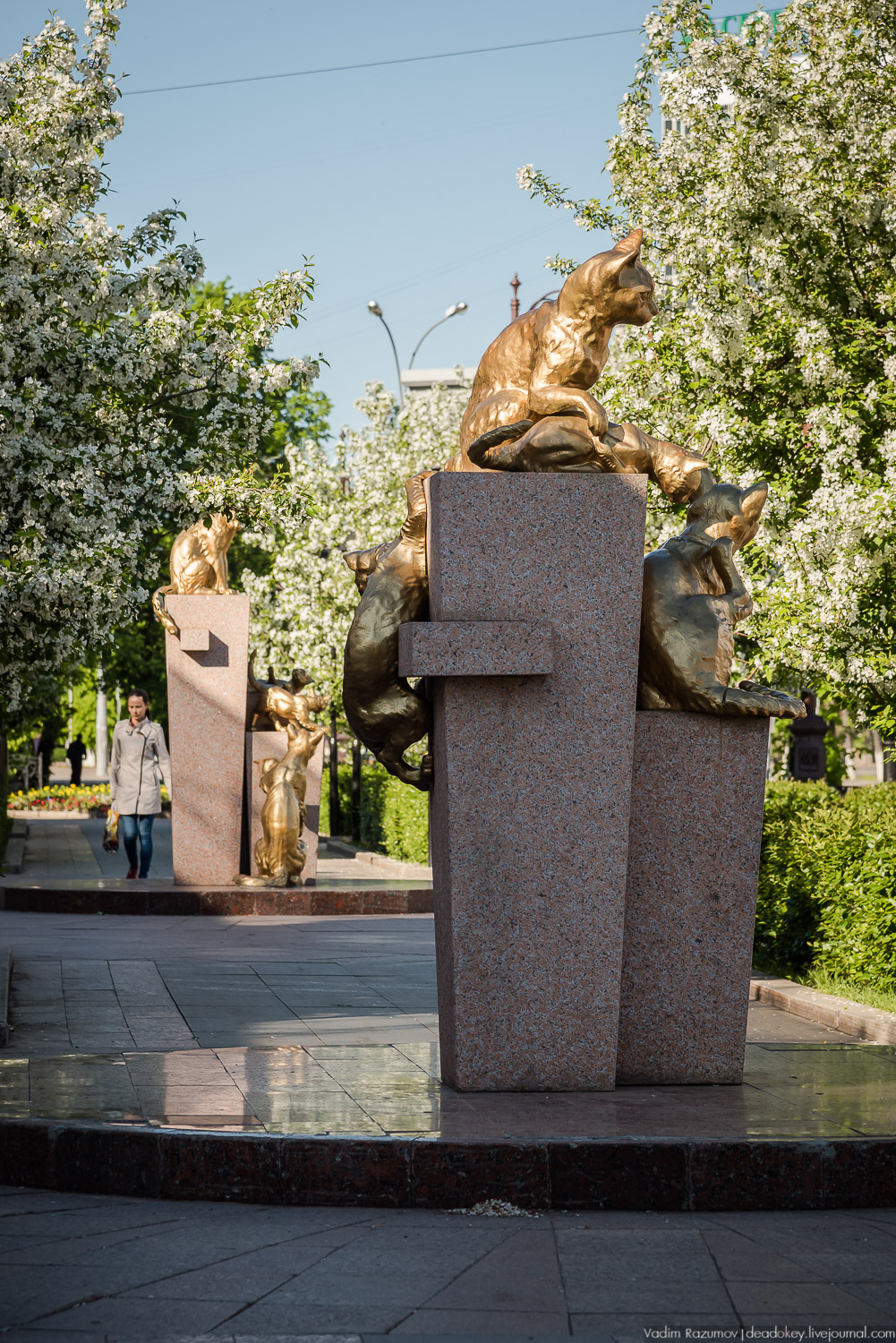 Усадьбы и наличники Тюмени