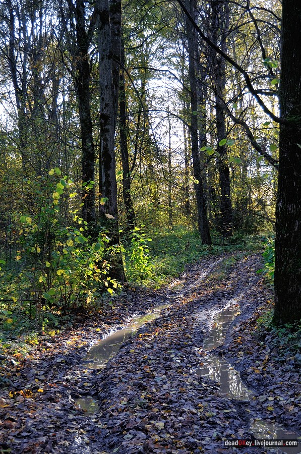 усадьба Дубровка (Мансурово)