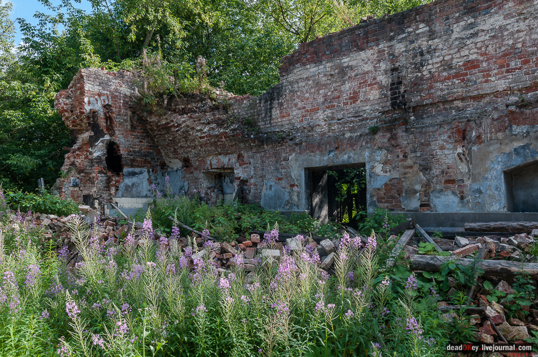 Фабрика Ягужинского, Павловская Слобода, пожар