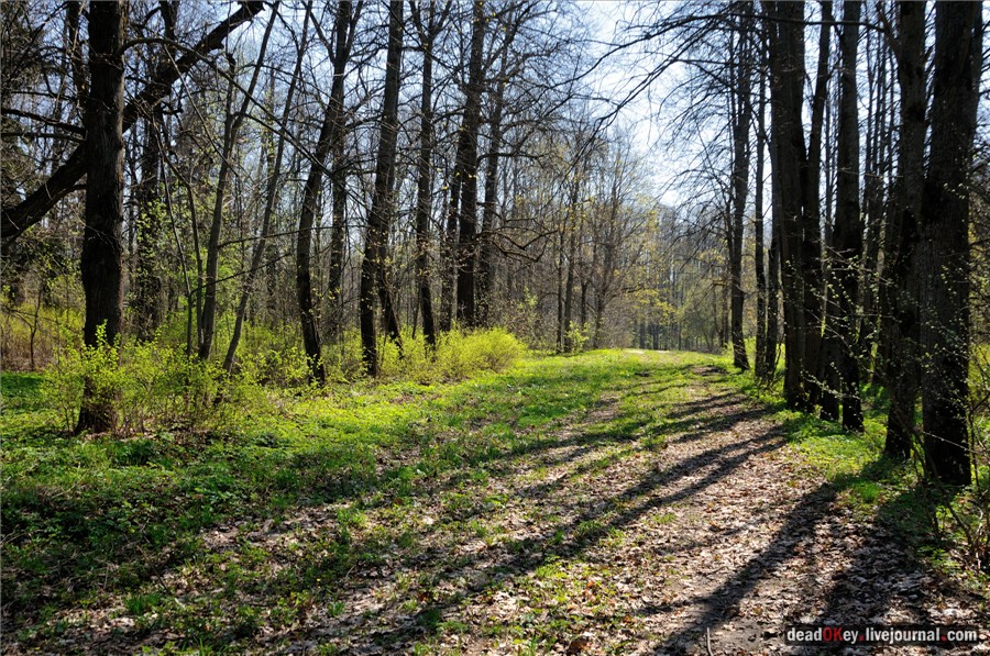 усадьба Андреевское-Туркино (Перематкино)