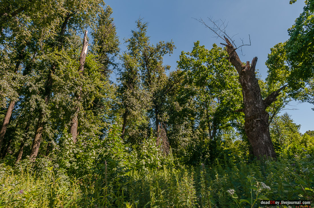 усадьба Новотомниково