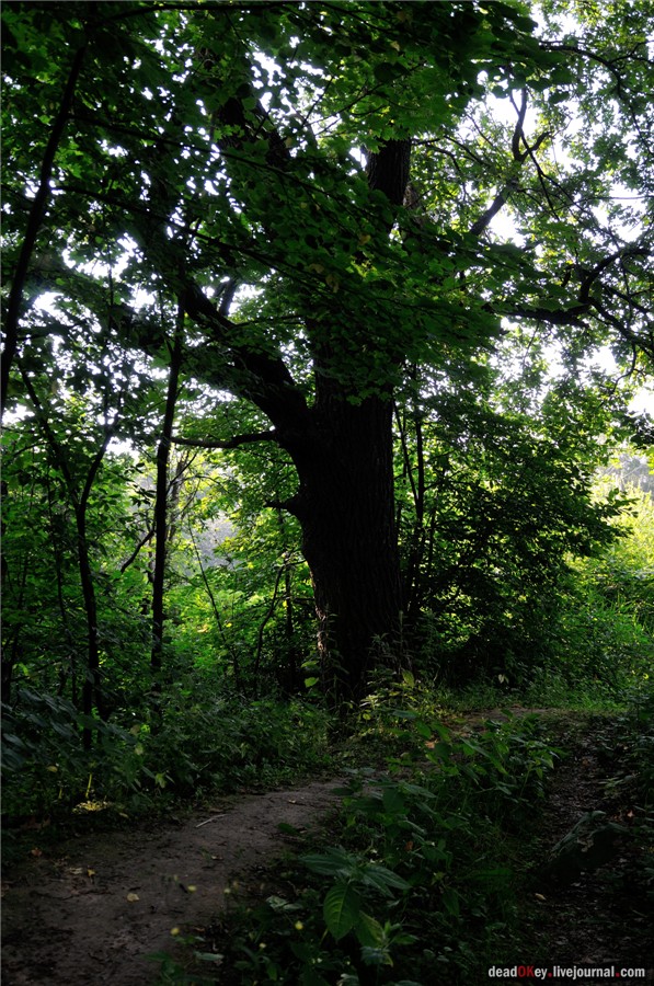 усадьба Долгое Ледово