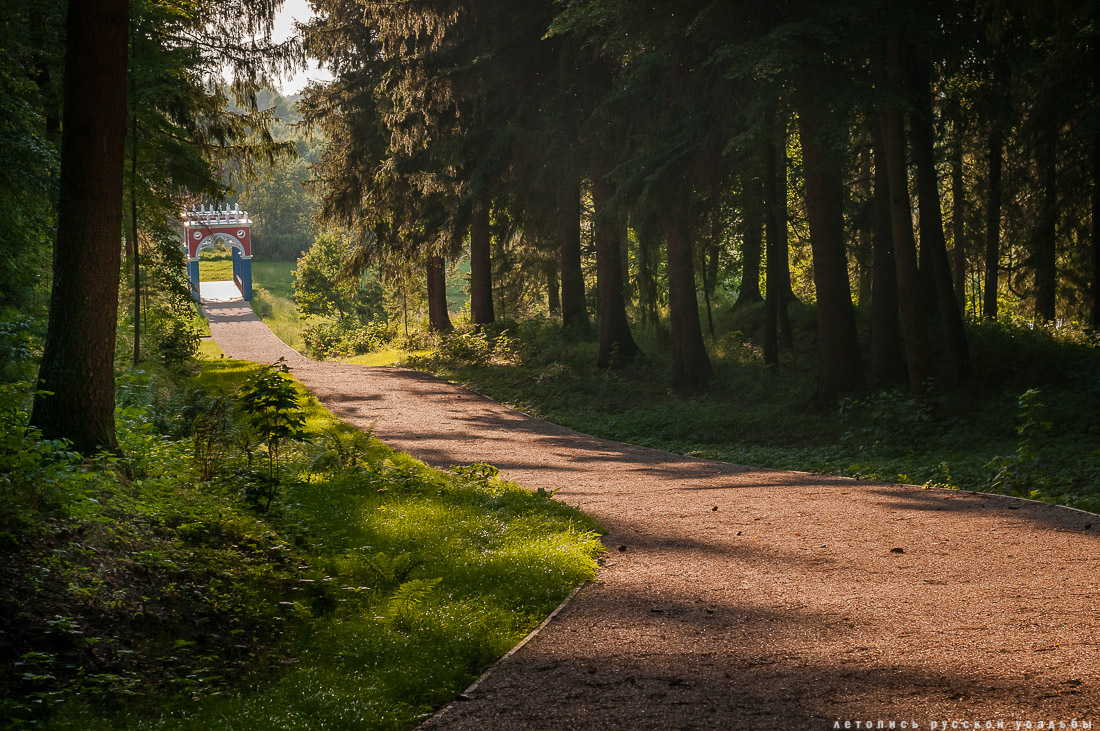 усадьба Степановское-Волосово, фотографии с дрона, шетлендский пони Трамп