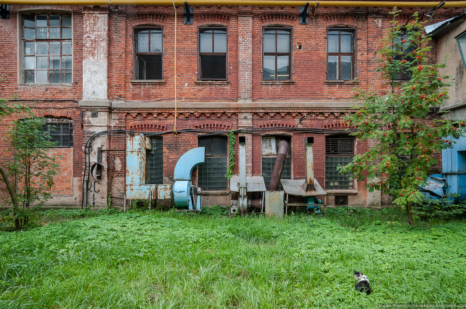 Фарфоровый завод, Вербилки
