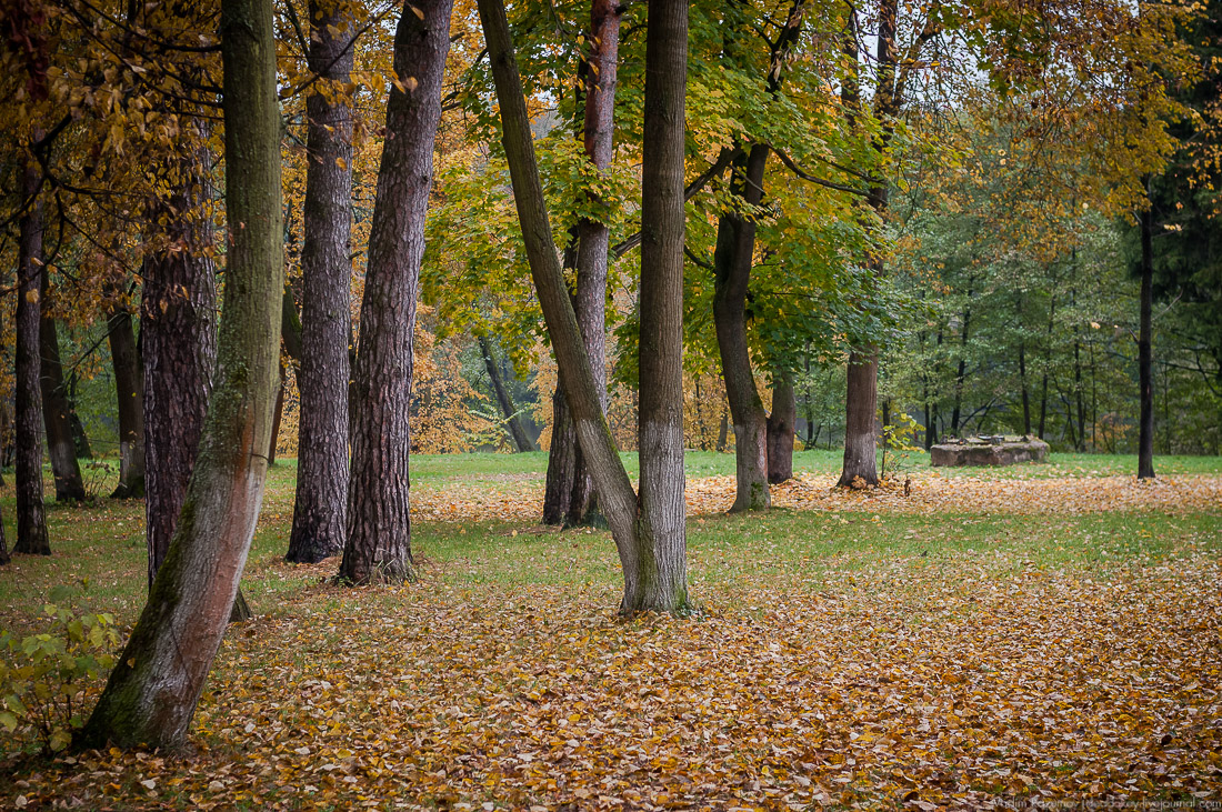 усадьба Глухово