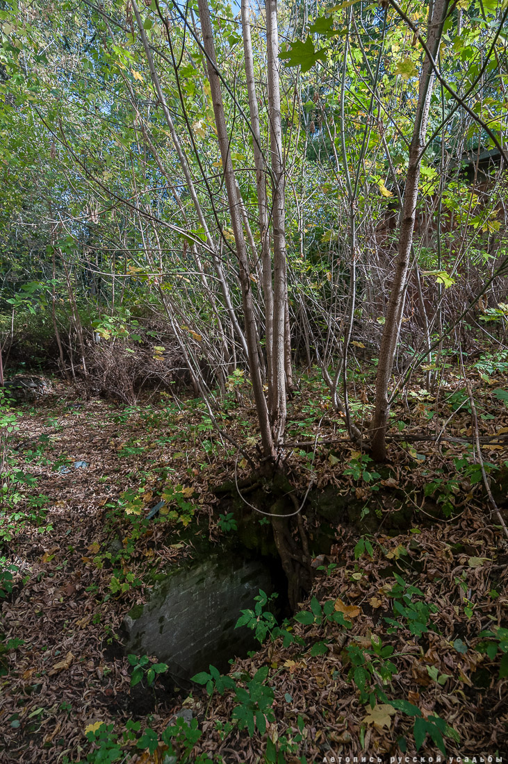 усадьба Быково, квест аудиогид