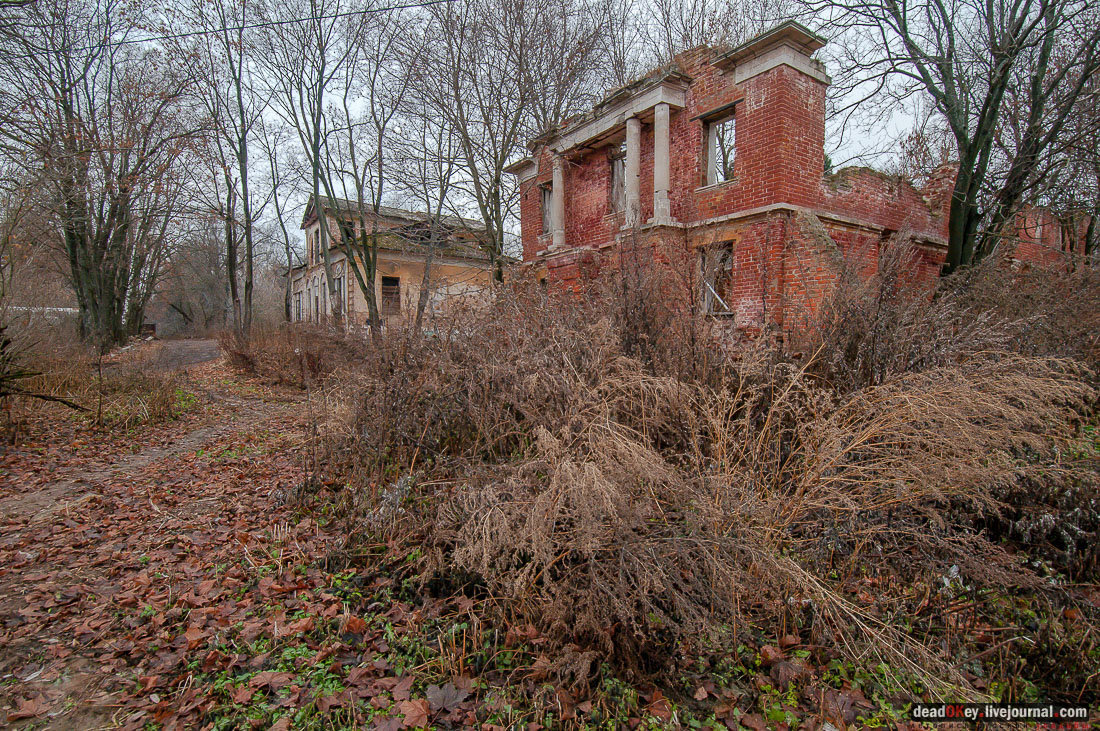 Усадьба Ляхово, съемки на НТВ-Сегодня