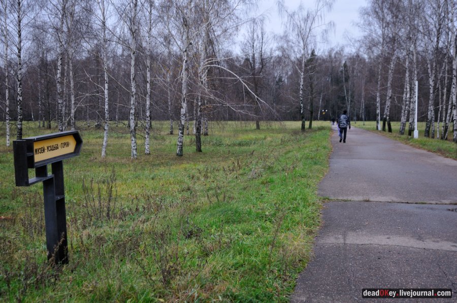 усадьба Горки Ленинские