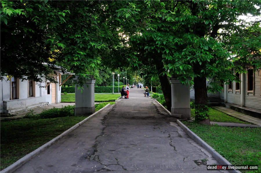 усадьба Грачевка (Ховрино)