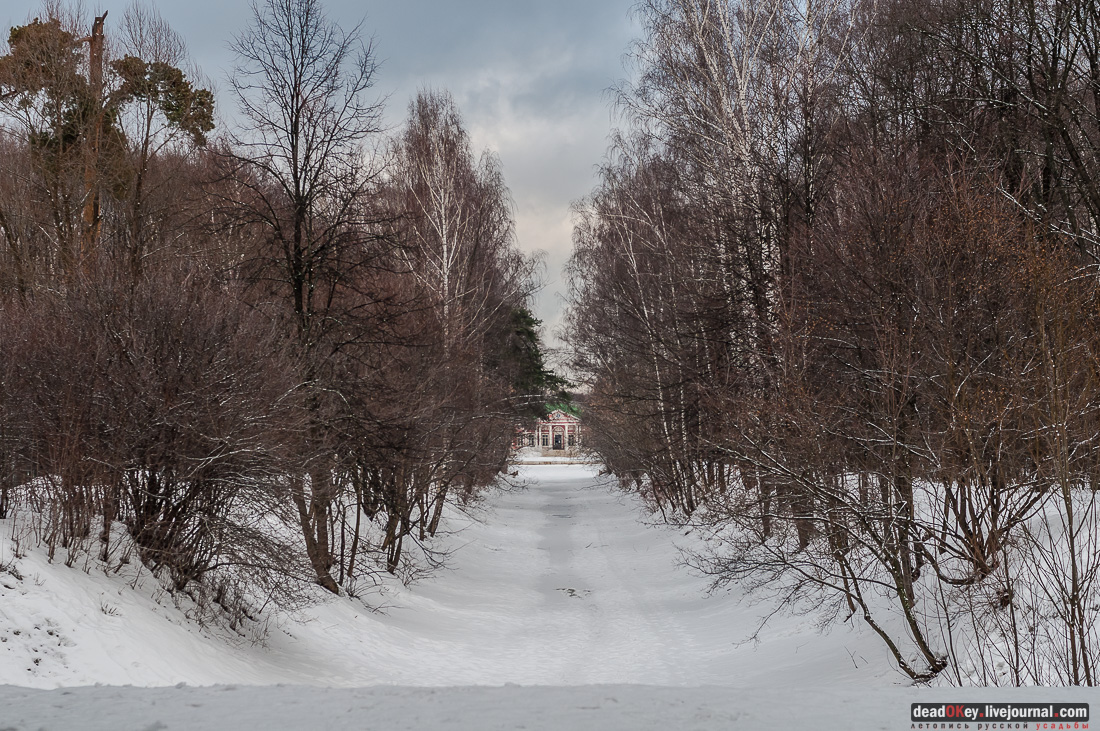 Вокруг Кусково