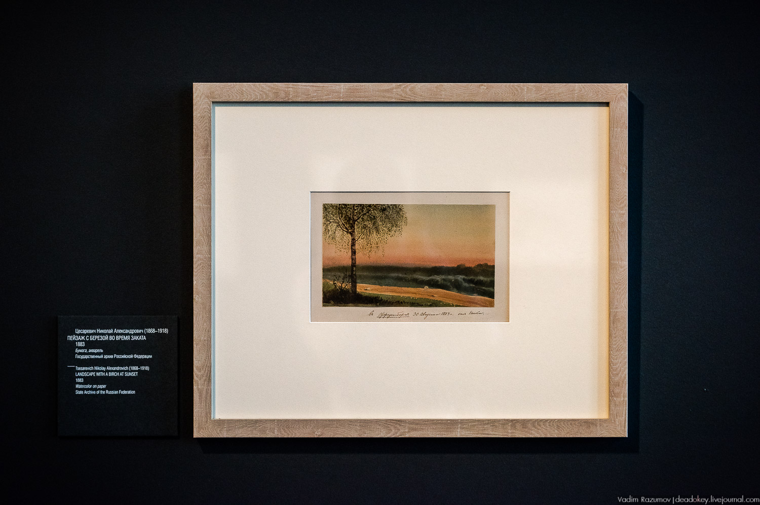 ГИМ. Выставка Николай 2 Семья и престол