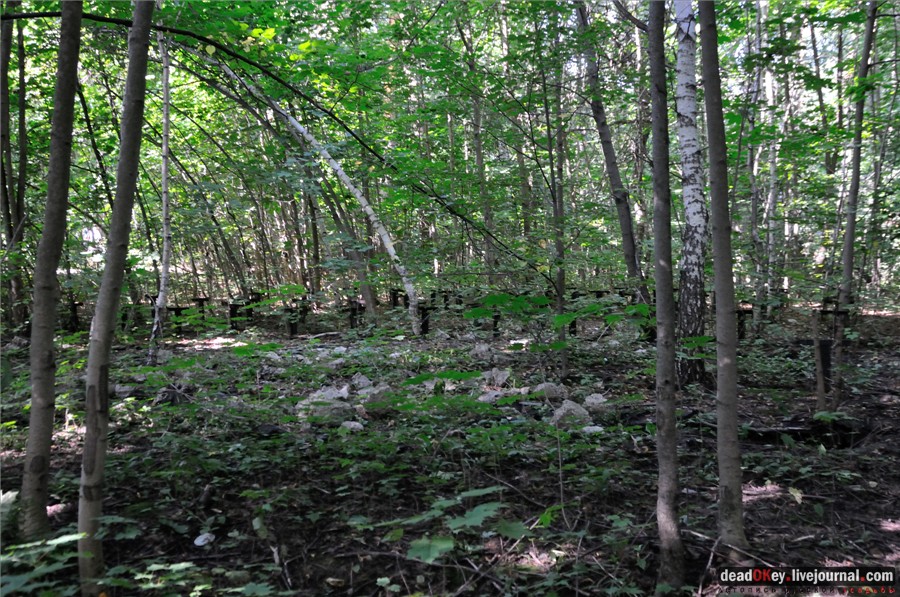 усадьба Лукино-Варино