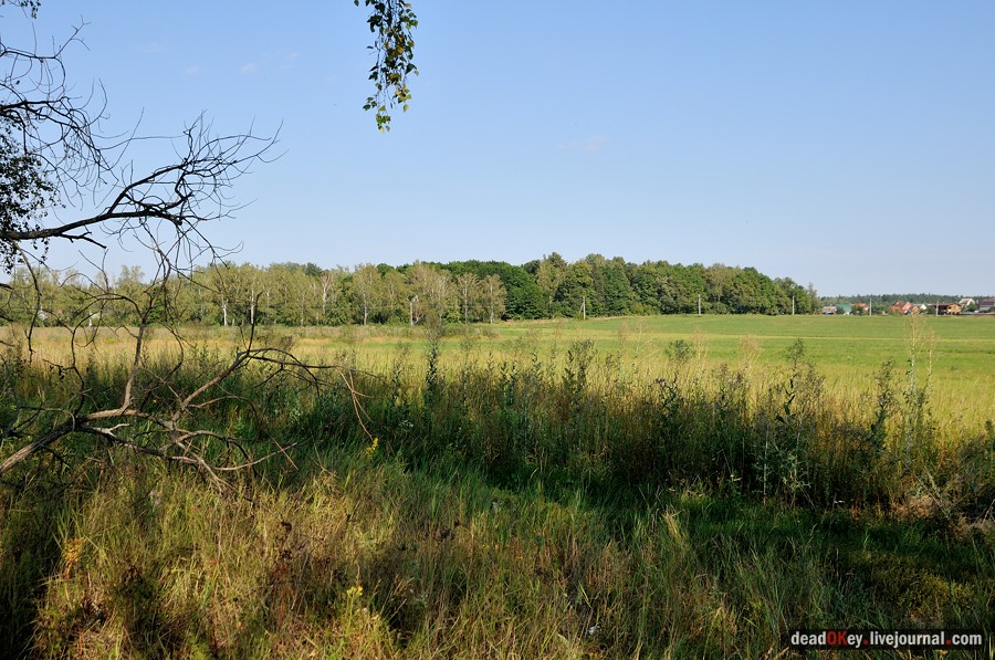 усадьба Шишкино